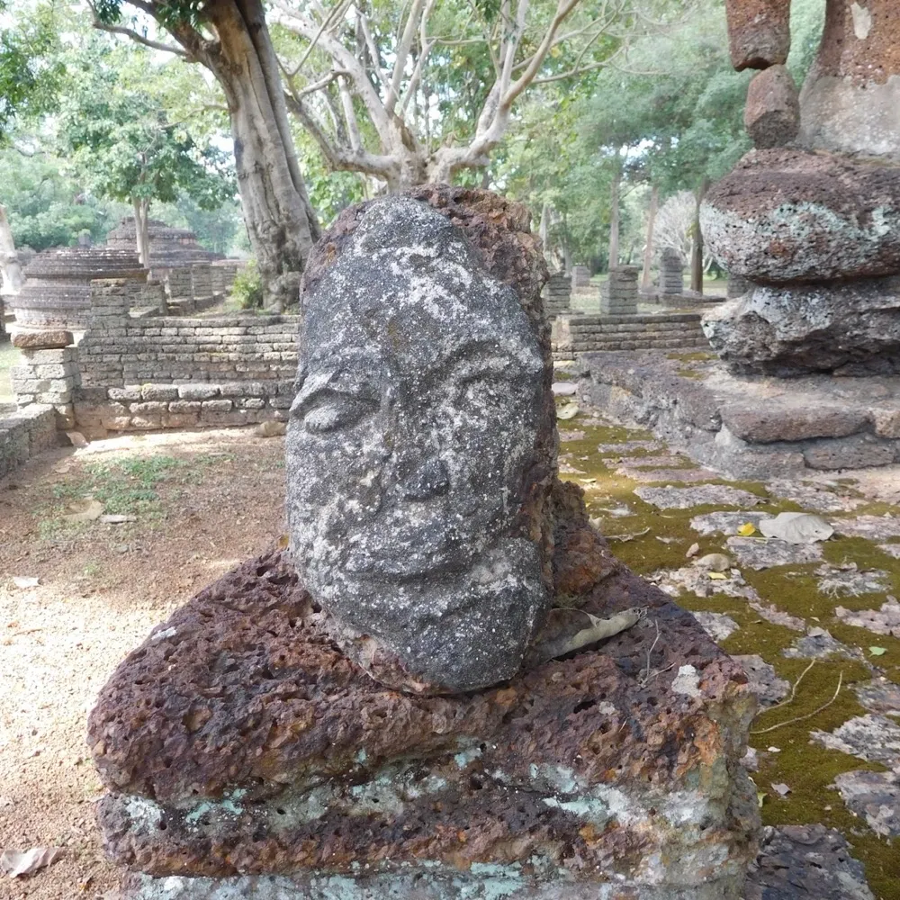 crowbot22043.bsky.social's profile picture