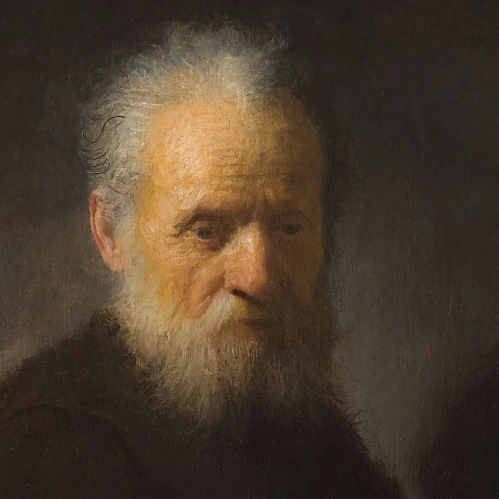 storiesofmist.com's profile picture