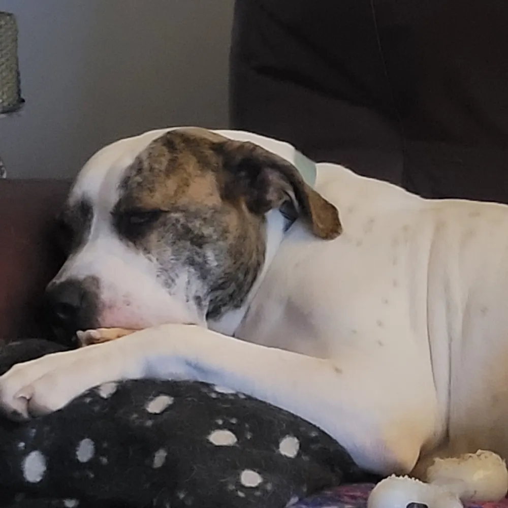 madksd.bsky.social's profile picture