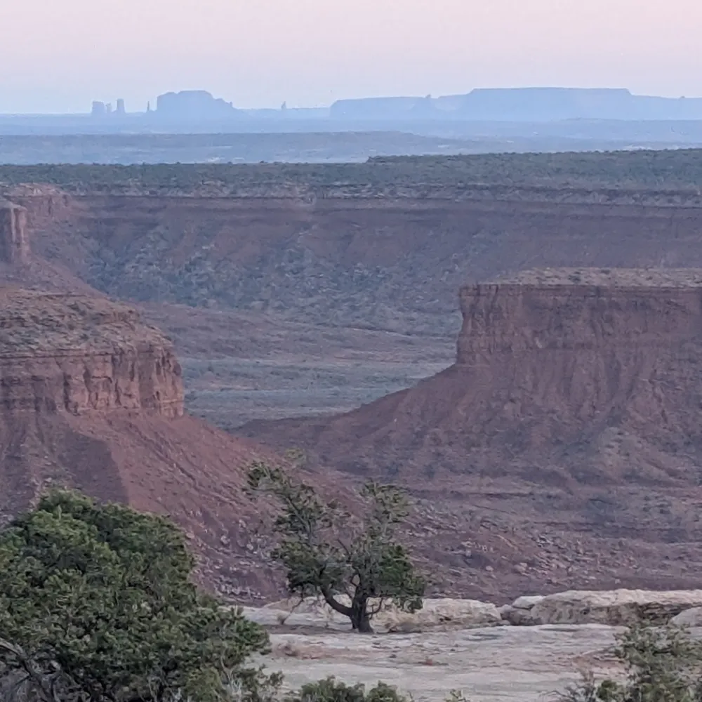 several-animals.bsky.social's profile picture