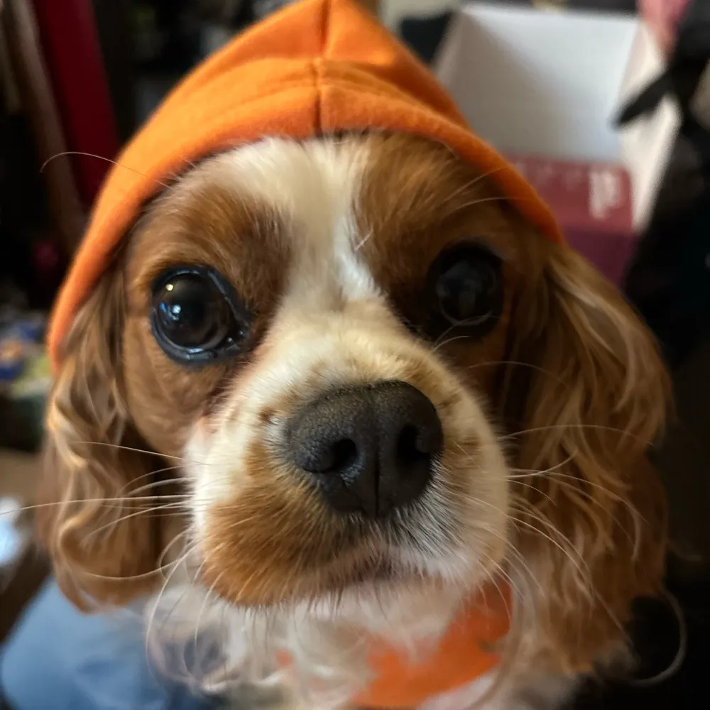 jg73now.bsky.social's profile picture