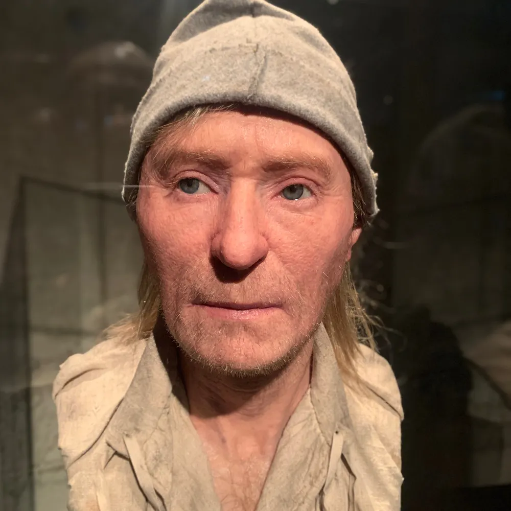 sentientstudio.bsky.social's profile picture