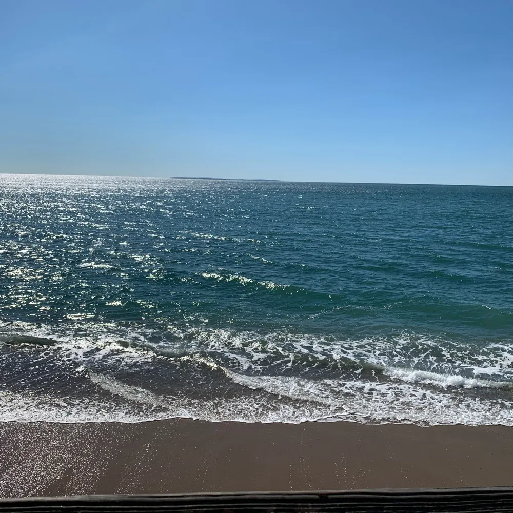 dmpro.bsky.social's profile picture