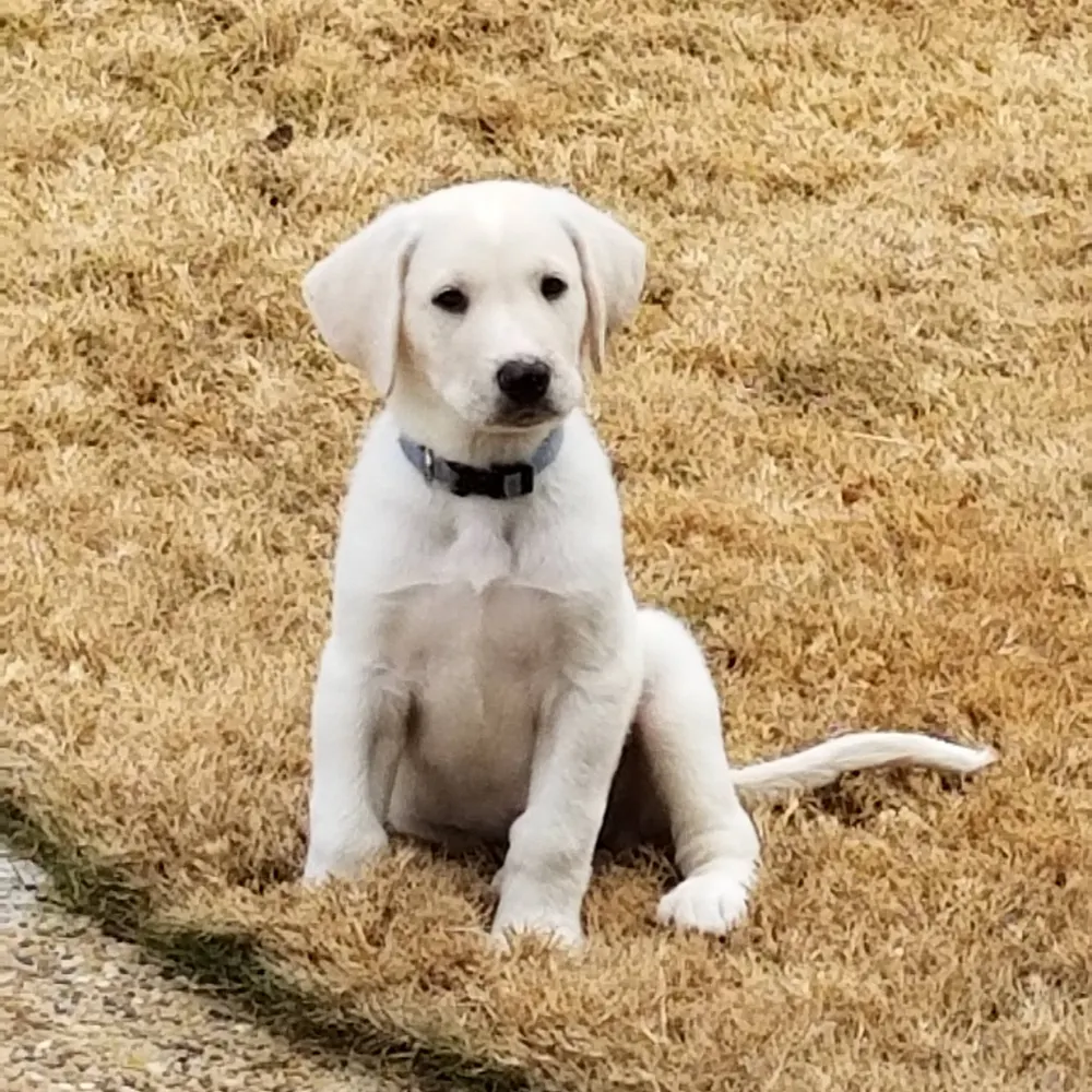 misdeb24.bsky.social's profile picture