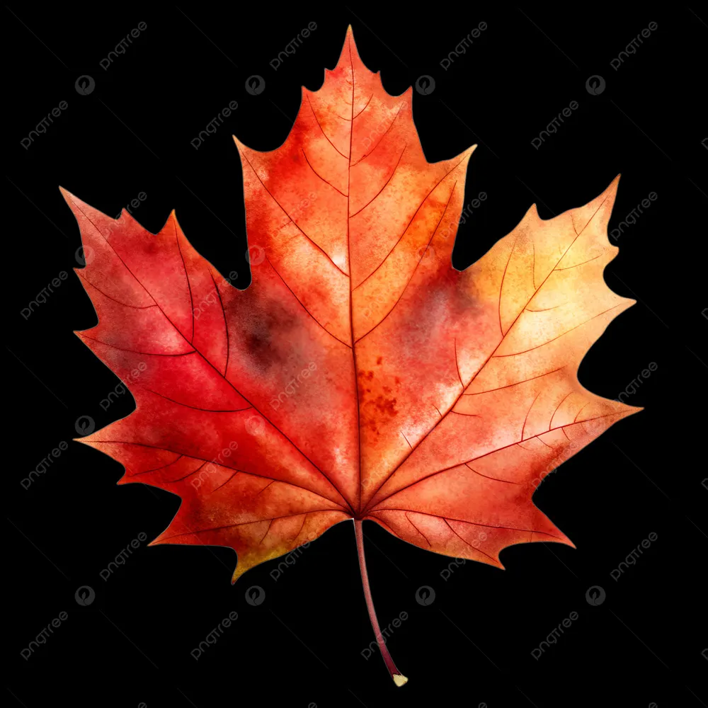 cbd37prime.bsky.social's profile picture