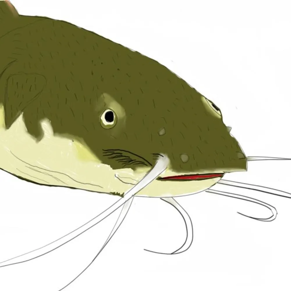 iiiiremedyiiii.bsky.social's profile picture