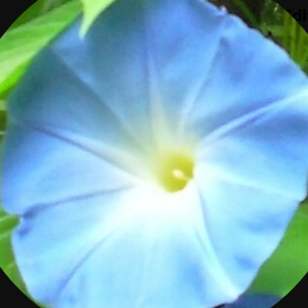 p0rtiab00.bsky.social's profile picture