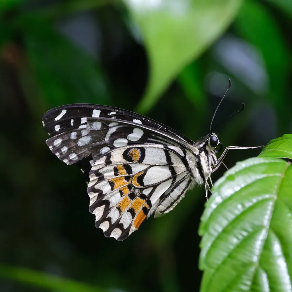 kazz001.bsky.social's profile picture