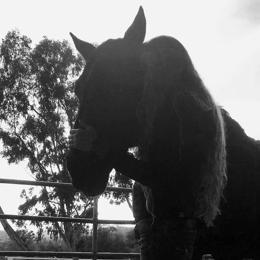 alexdegreine.eurosky.social's profile picture