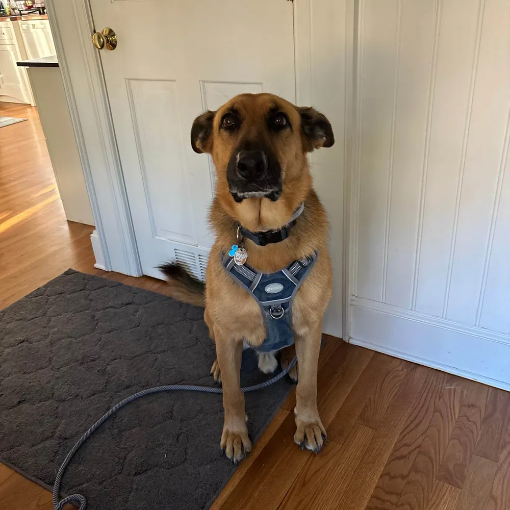 joepampel.bsky.social's profile picture