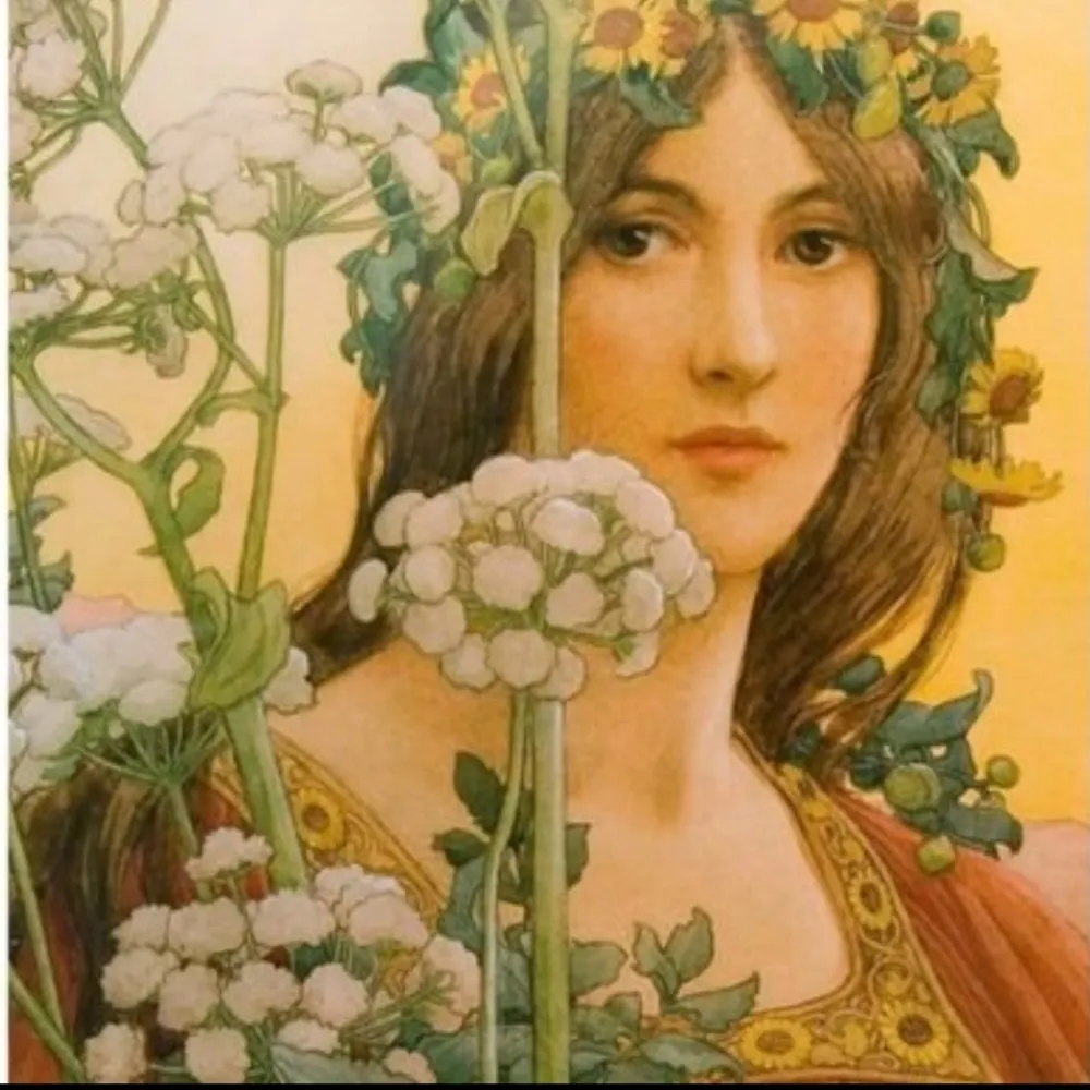 ladycowparsley.bsky.social's profile picture