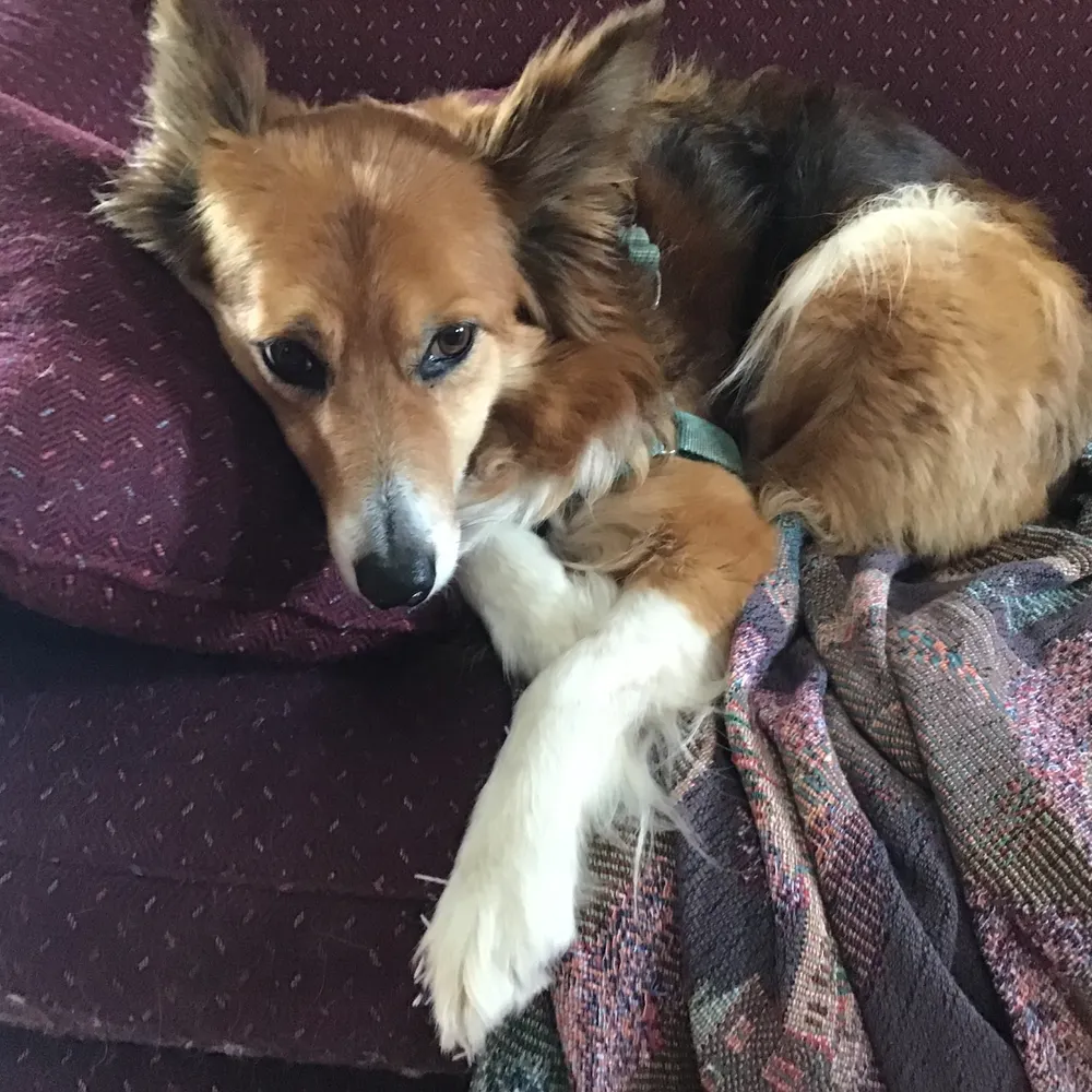 belleslettres.bsky.social's profile picture