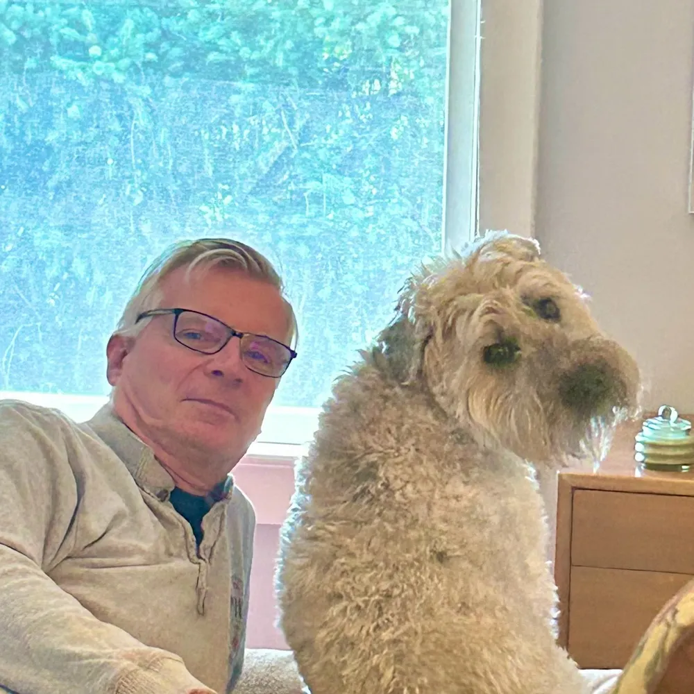 tvmediaag.bsky.social's profile picture