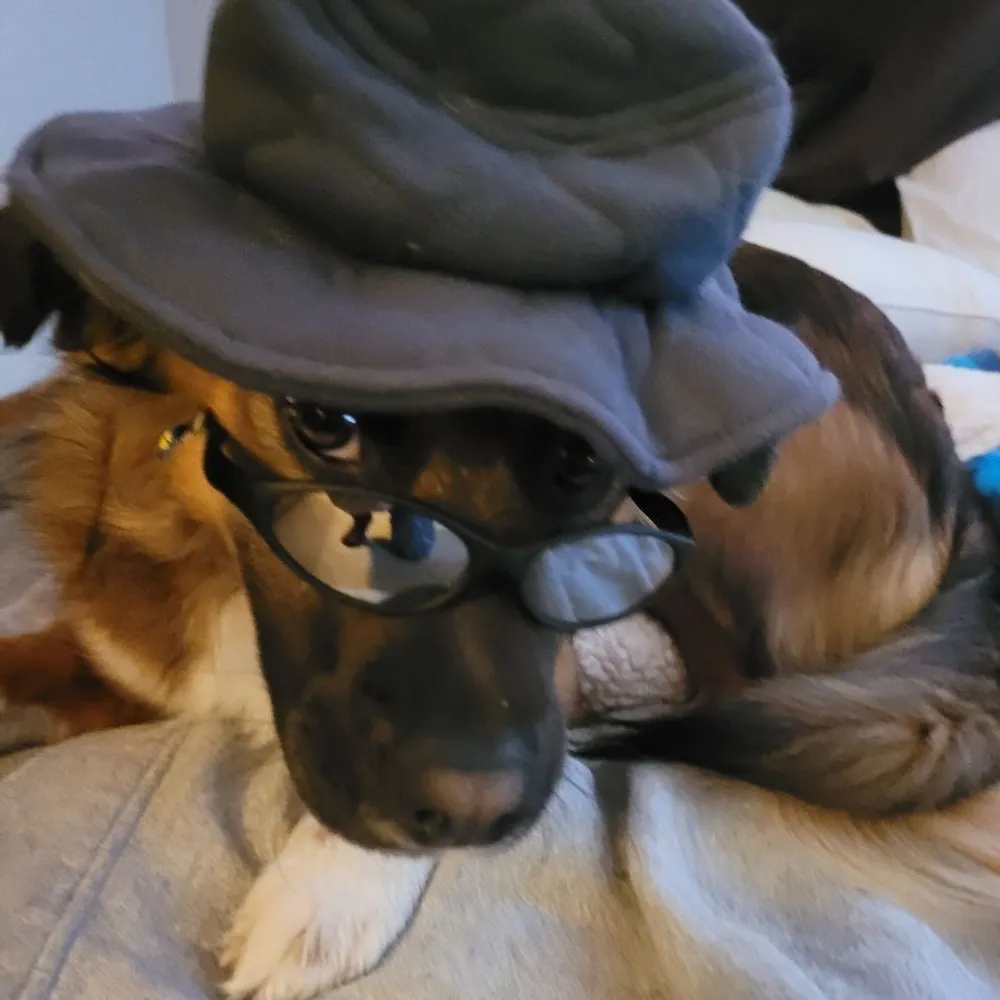 cham515.bsky.social's profile picture