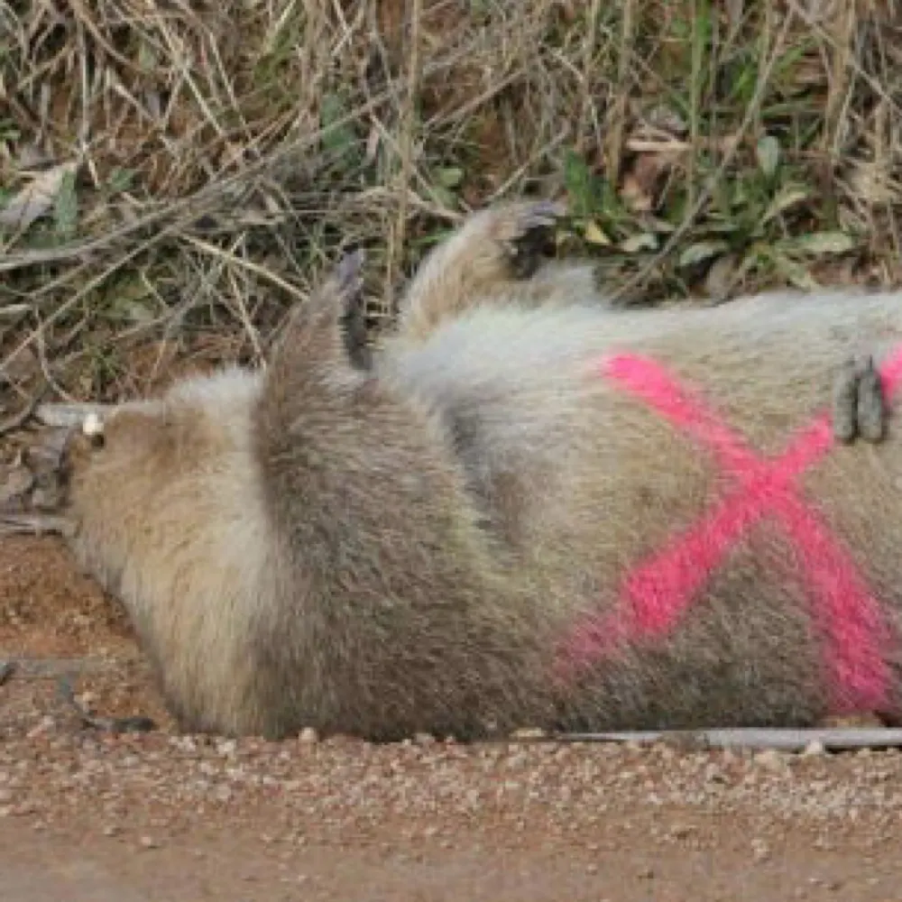 nogravitasatall.bsky.social's profile picture