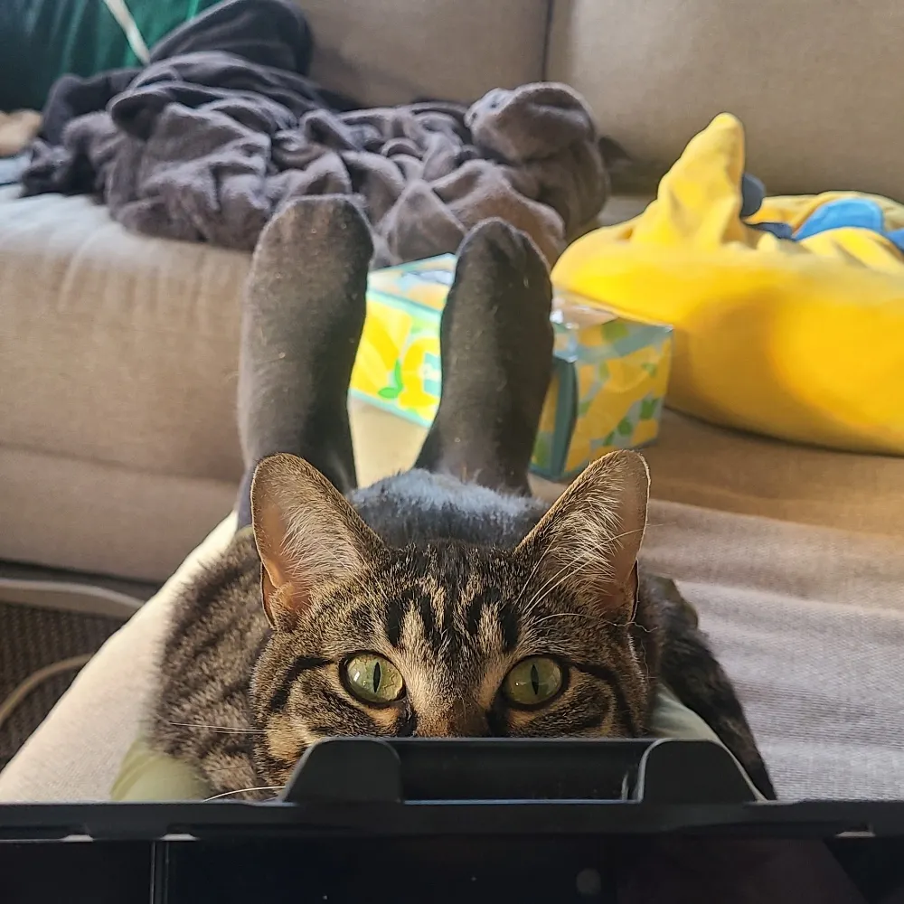 bardicworks.bsky.social's profile picture