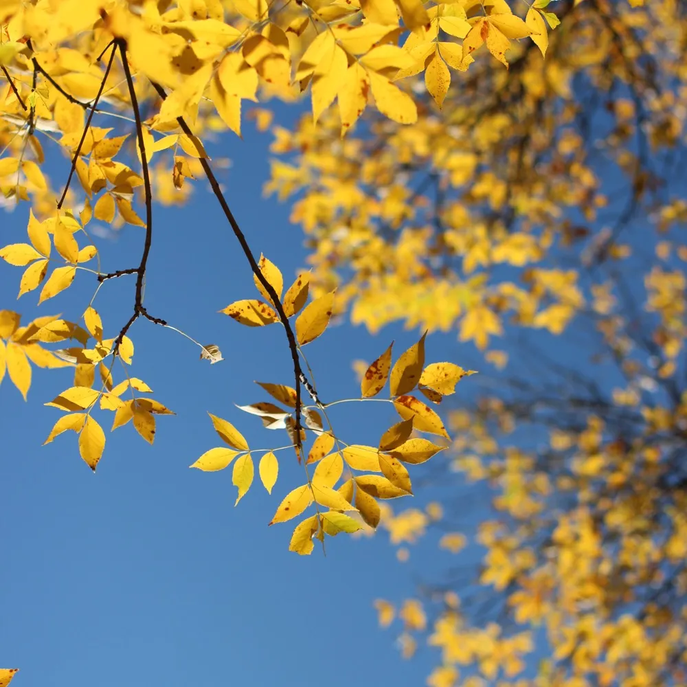 larkylark2.bsky.social's profile picture