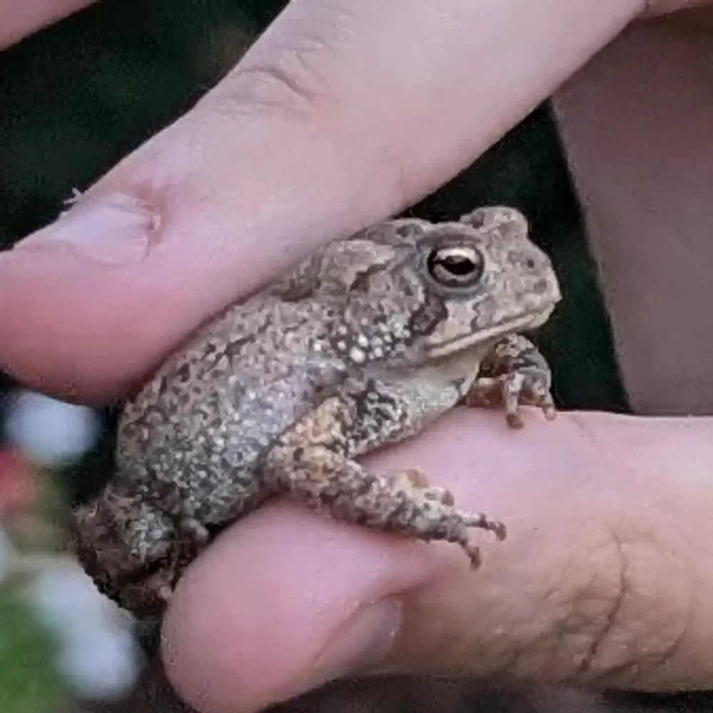 zzztestaccount.bsky.social's profile picture