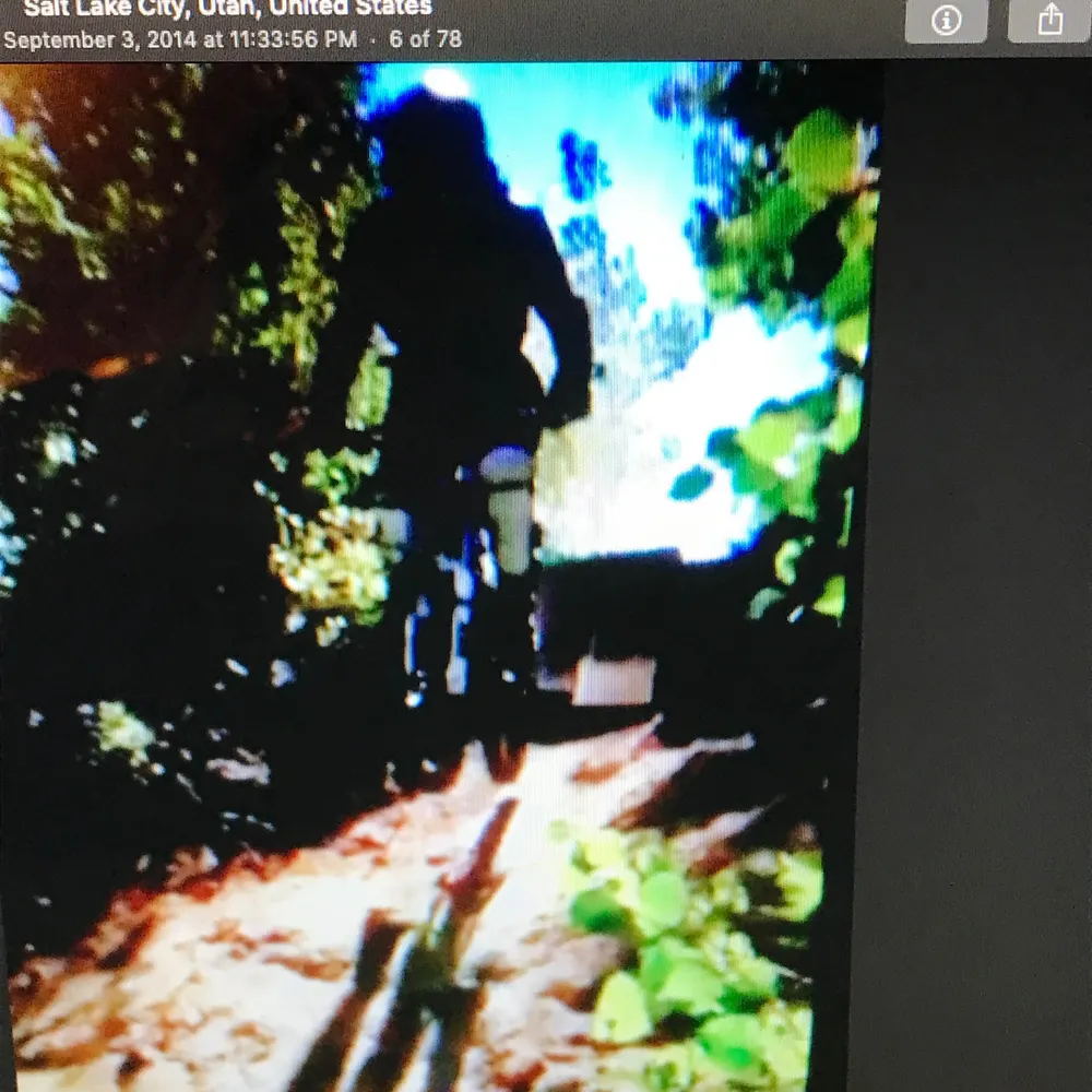 gothicalchemist.bsky.social's profile picture