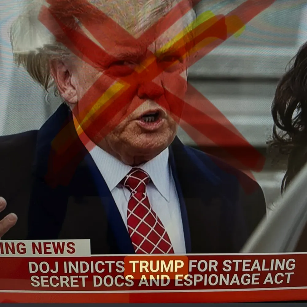 happylemons.bsky.social's profile picture