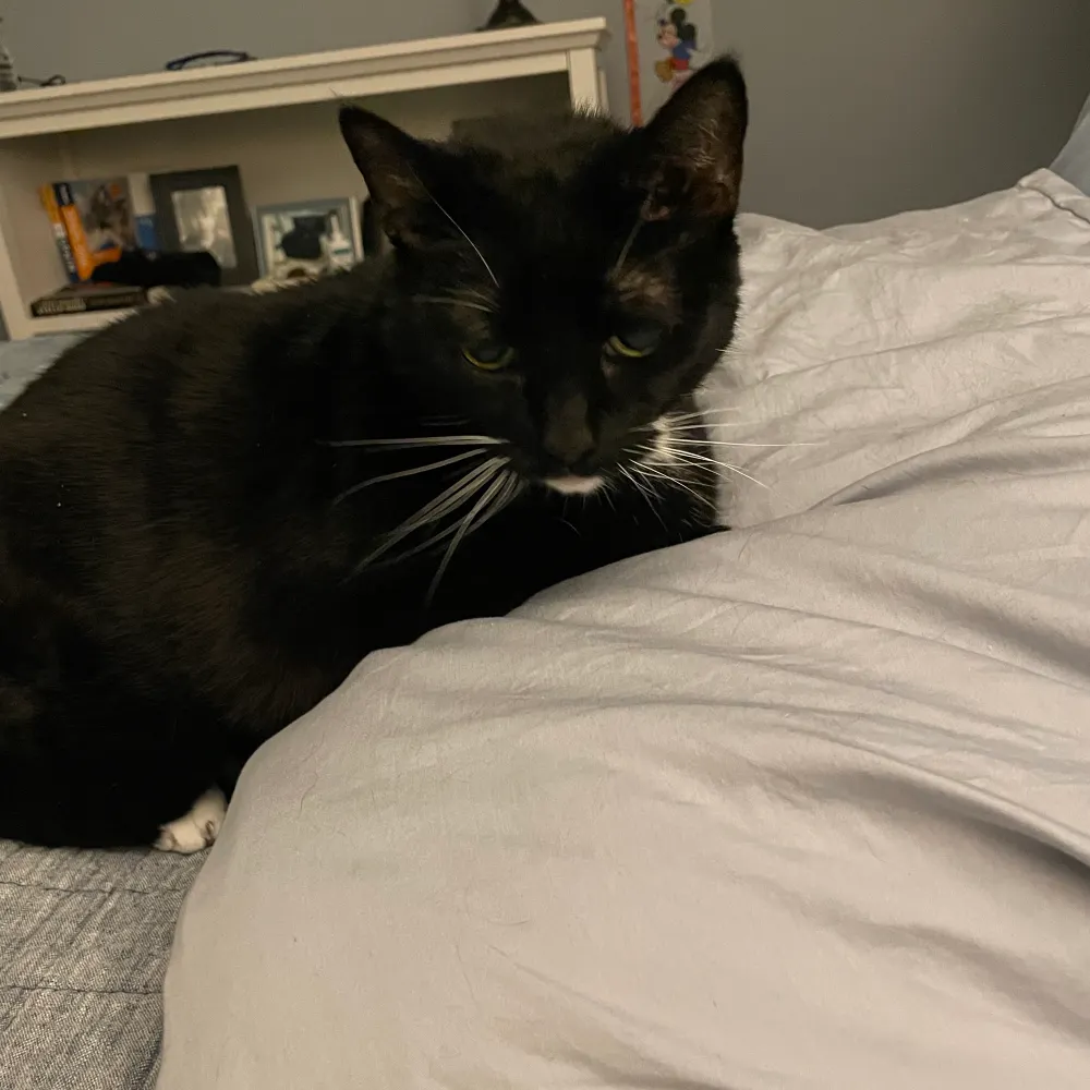 ebwrite.bsky.social's profile picture