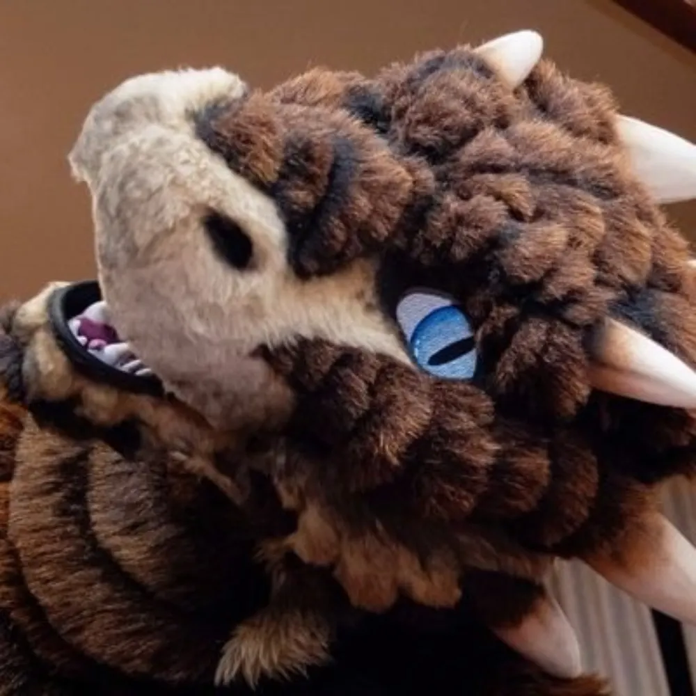 drachetto.bsky.social's profile picture