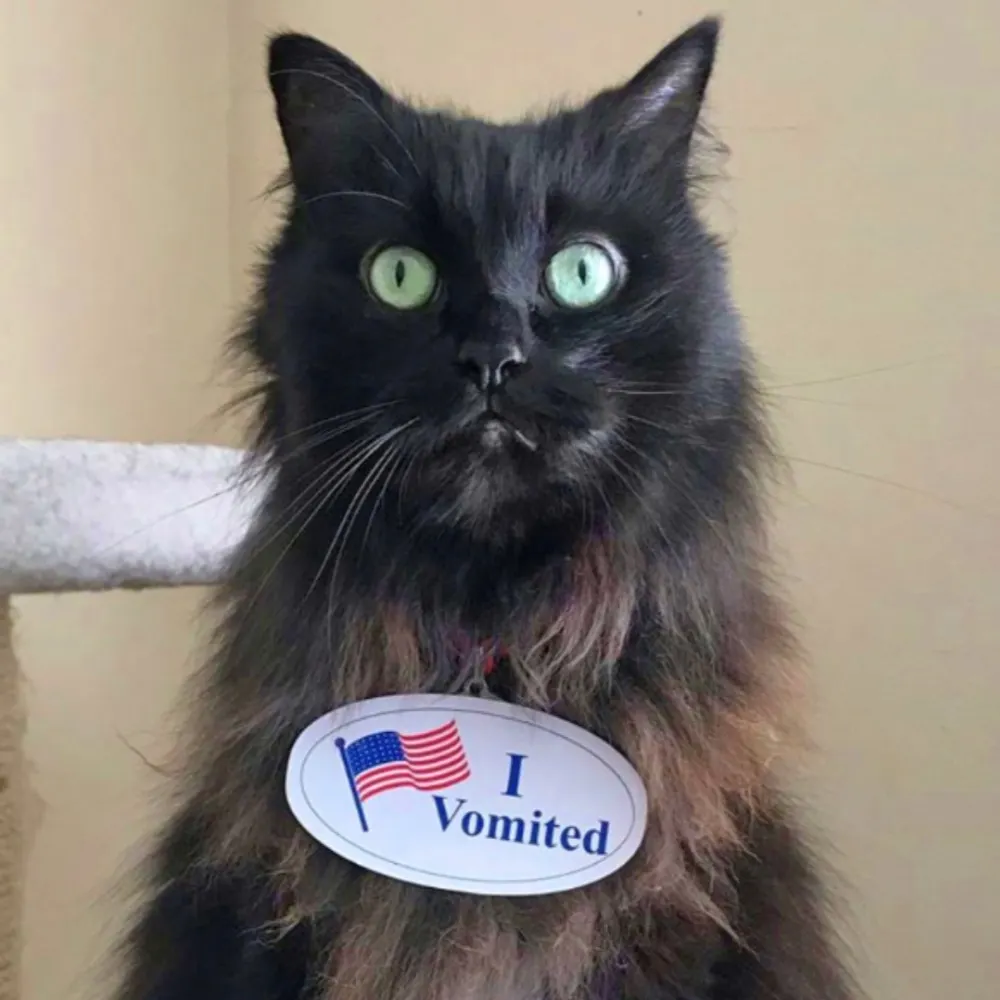 theabbynormal.bsky.social's profile picture