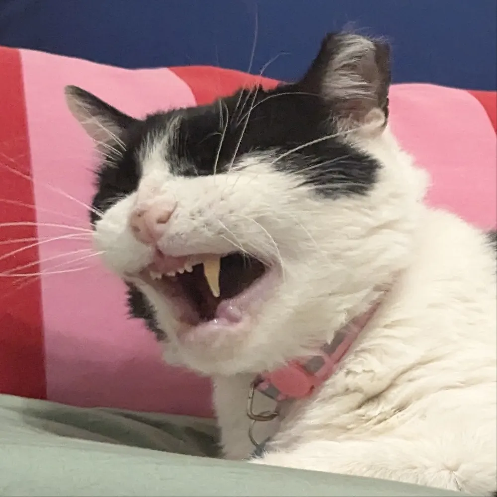 chricraw.bsky.social's profile picture