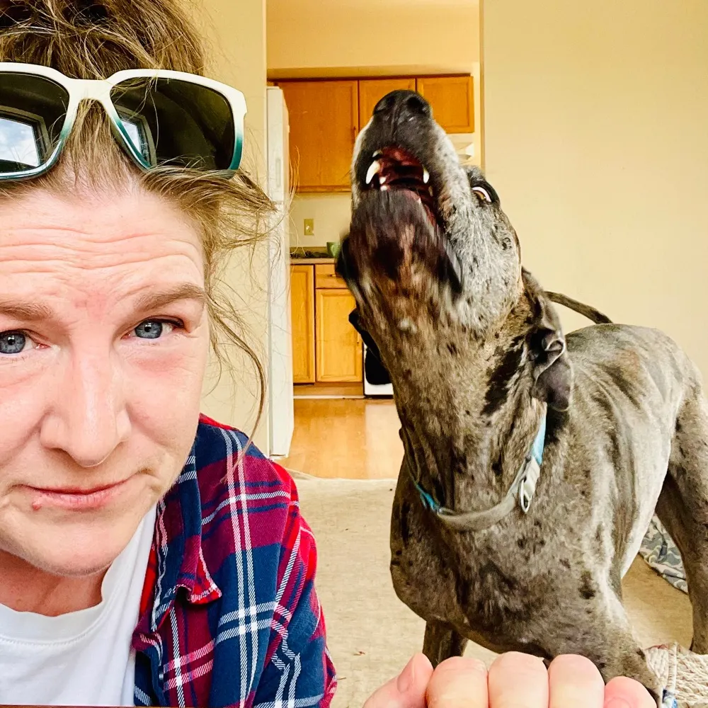 jfksshinyteeth.bsky.social's profile picture