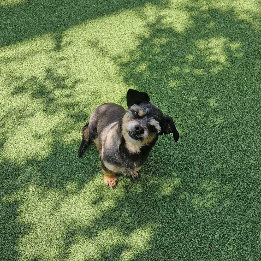 javiermt.bsky.social's profile picture