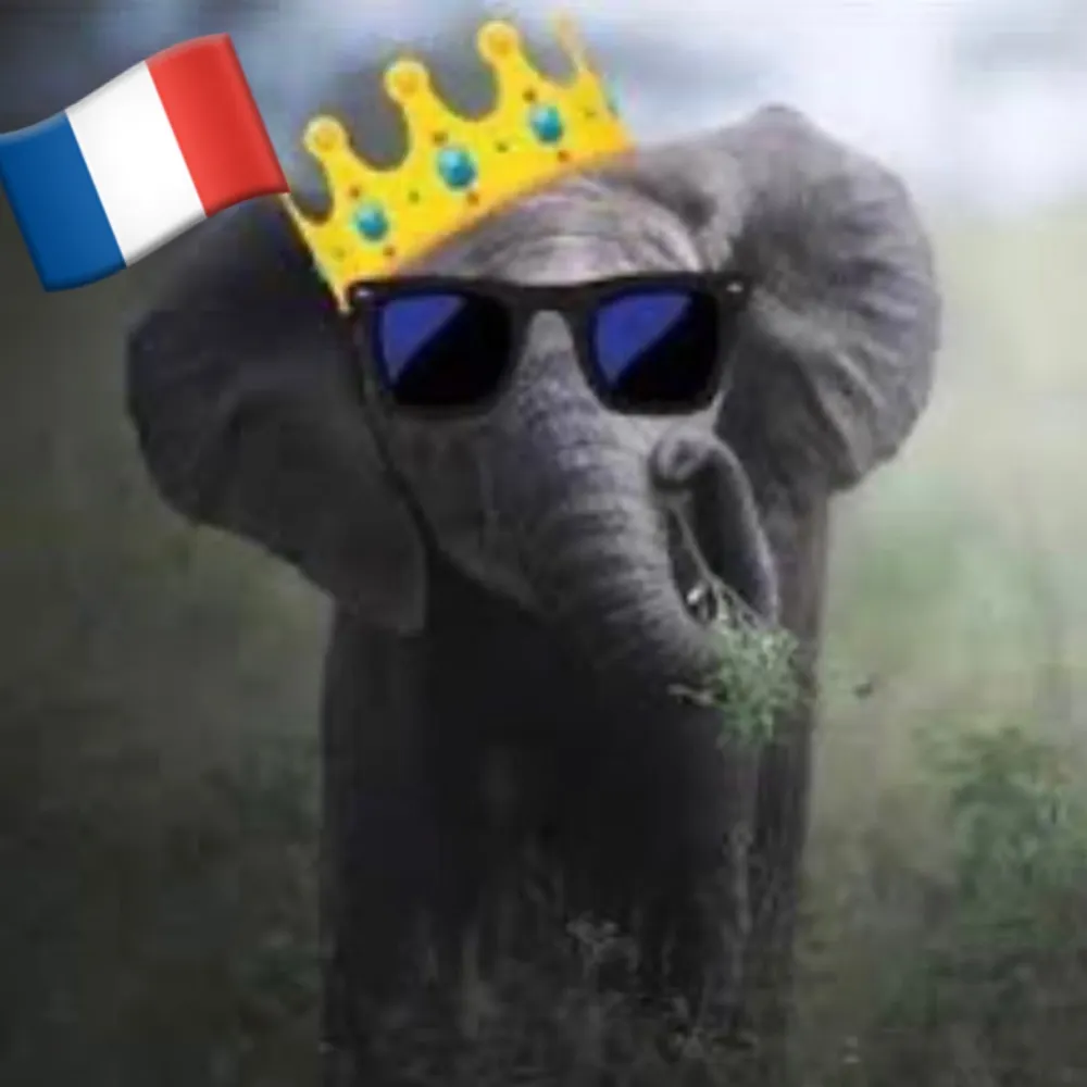 cmonmaque.bsky.social's profile picture