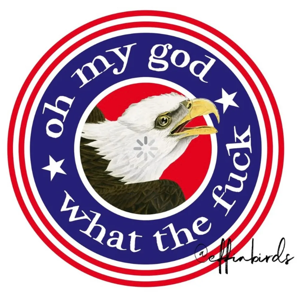 bocksam.bsky.social's profile picture