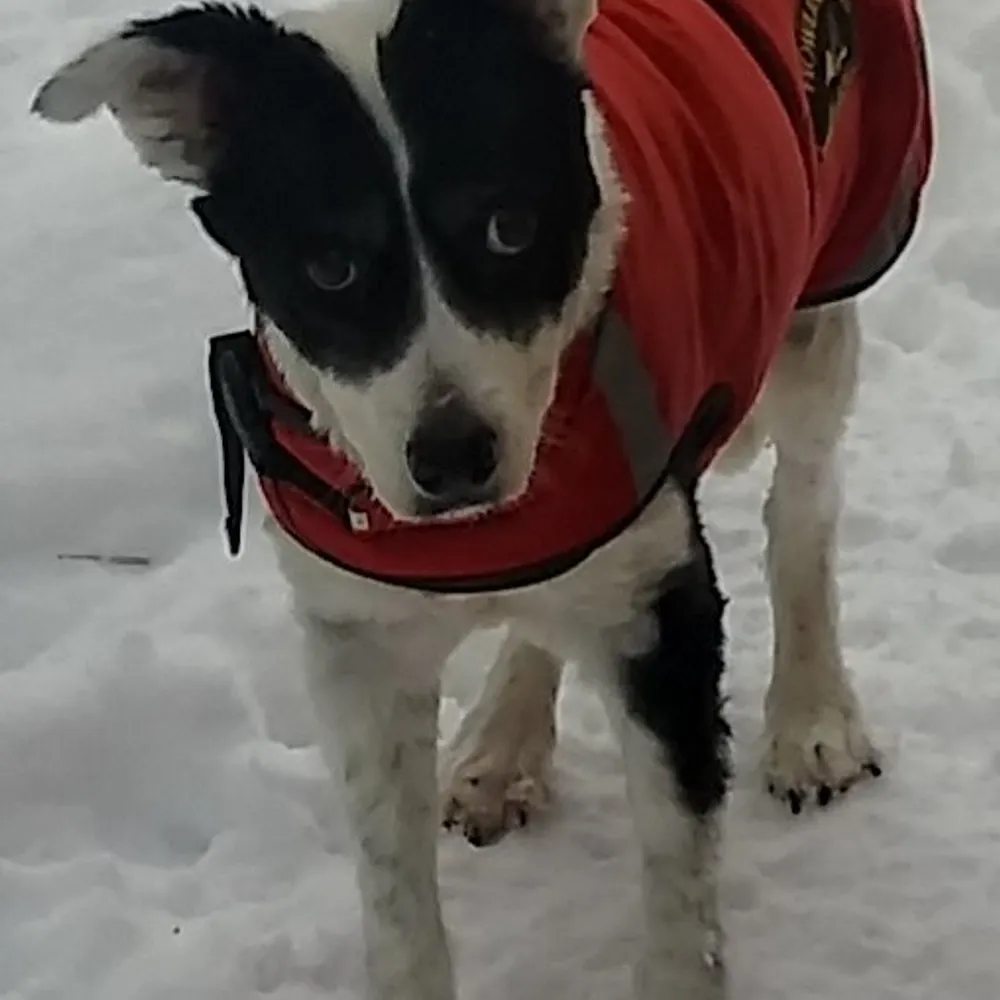 oradour.bsky.social's profile picture