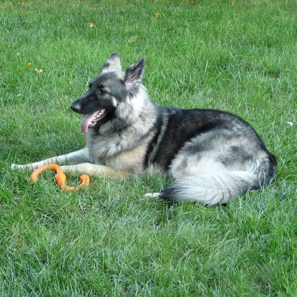 tsktsk-tuttut.bsky.social's profile picture