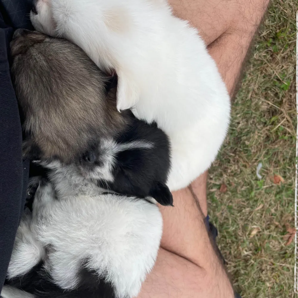 imaginationlover.bsky.social's profile picture