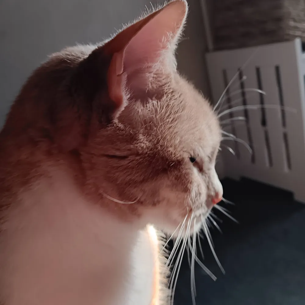 alysonmb.bsky.social's profile picture