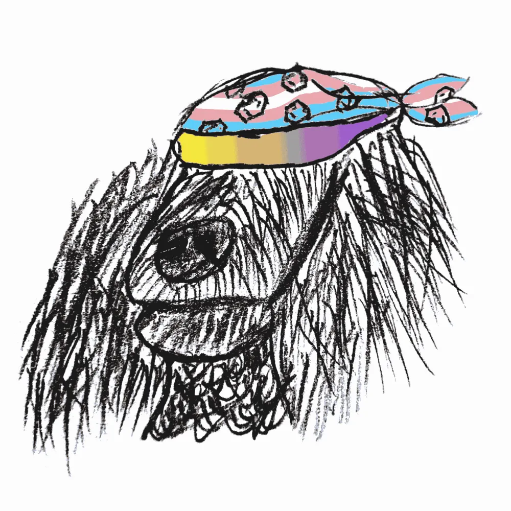 funkjunkins.bsky.social's profile picture