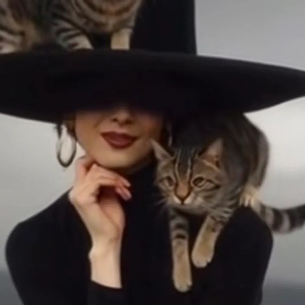 cjojogogo.bsky.social's profile picture