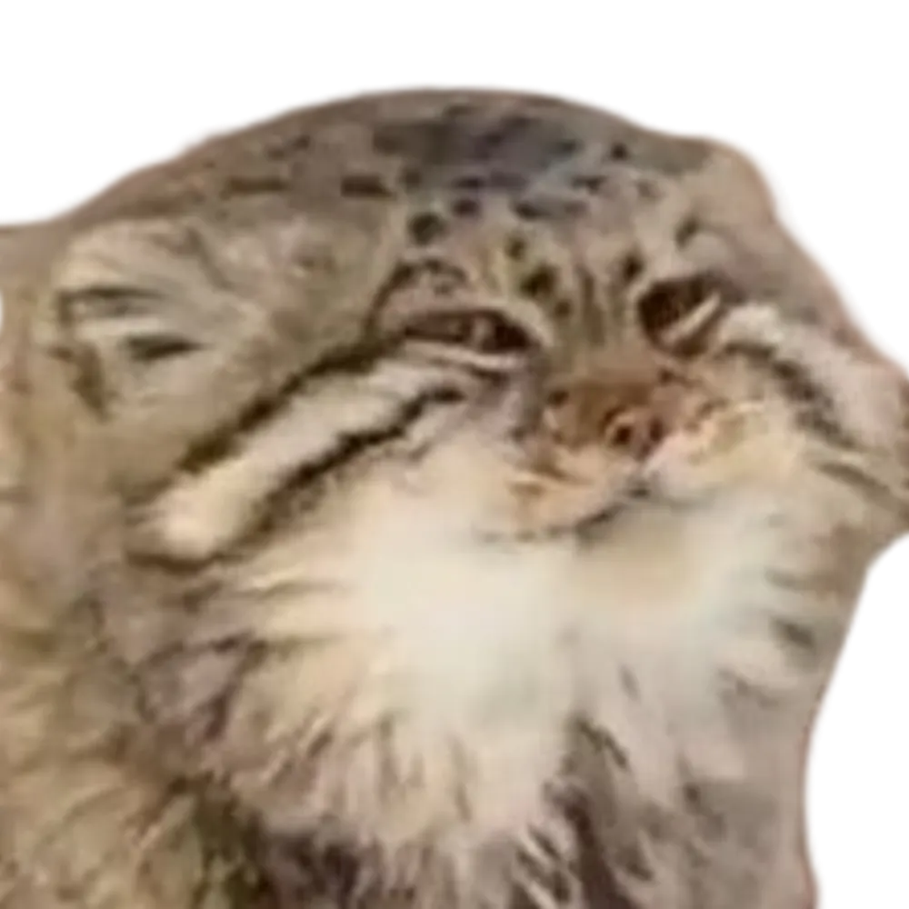 walnzell.bsky.social's profile picture