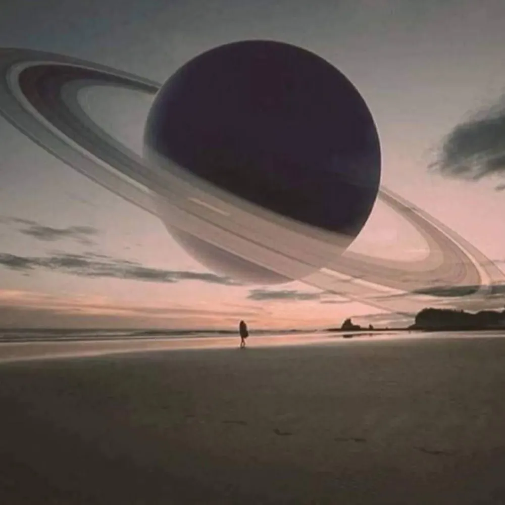 sonoranbeach.bsky.social's profile picture