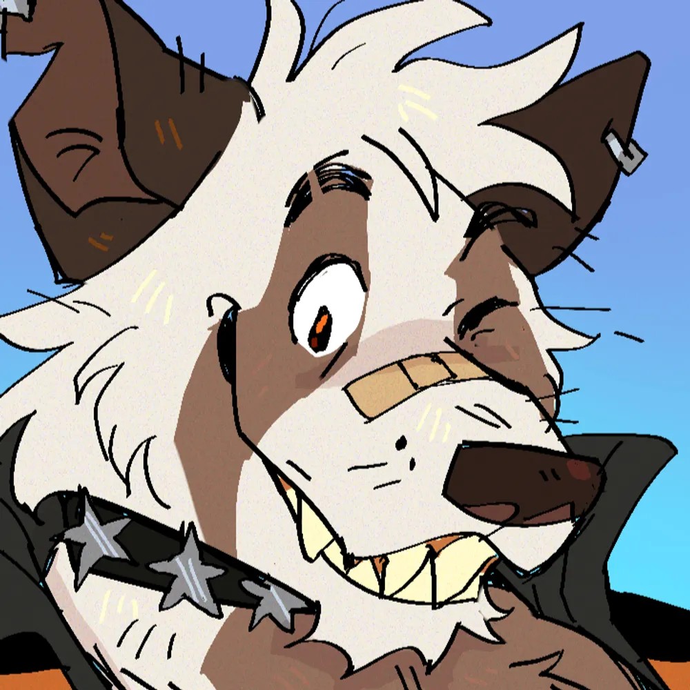 zorritokai.tv's profile picture