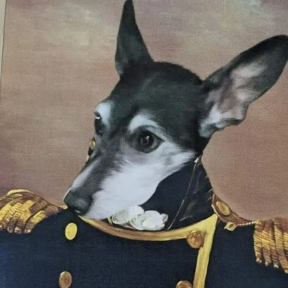 brilandia.bsky.social's profile picture