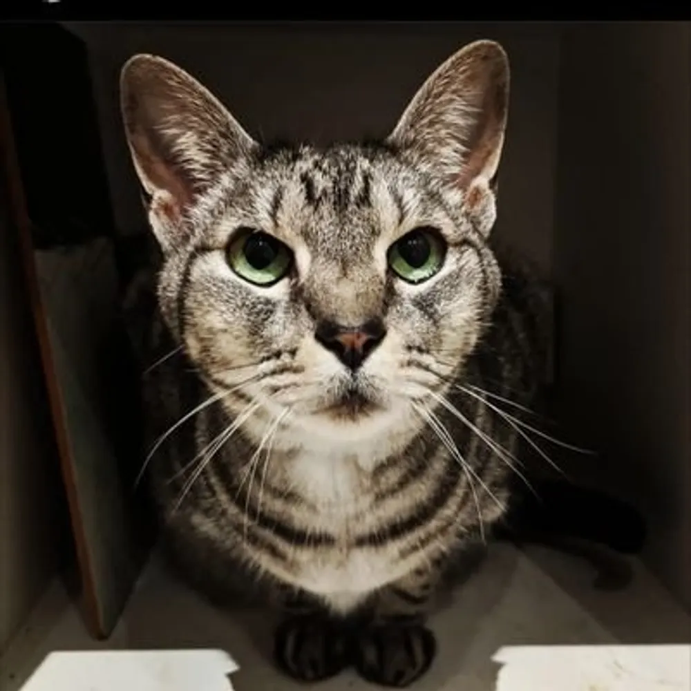 ab-aus.bsky.social's profile picture