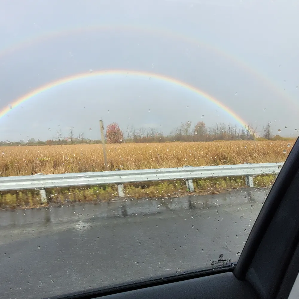 mcfarl.bsky.social's profile picture