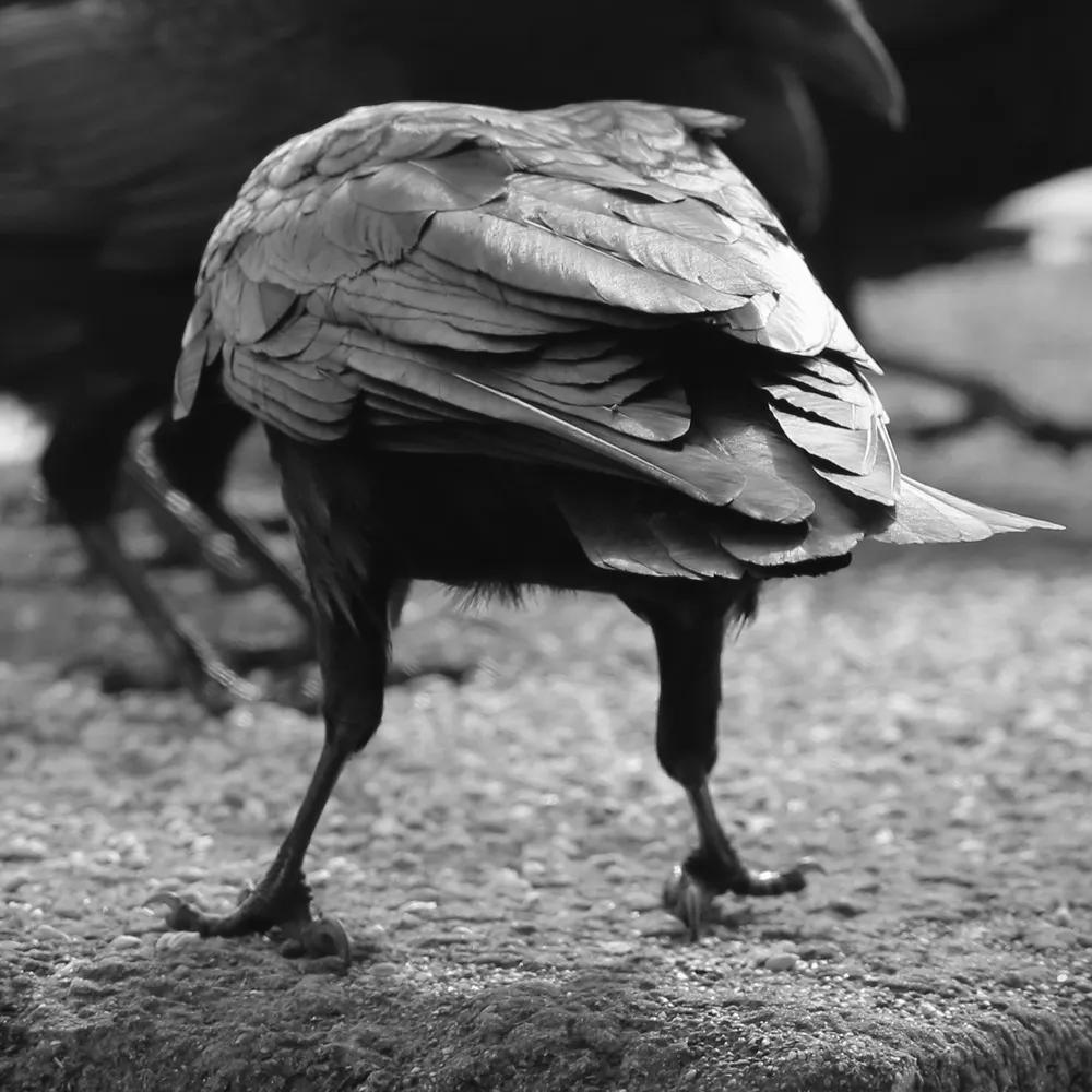 jlyons1991.bsky.social's profile picture