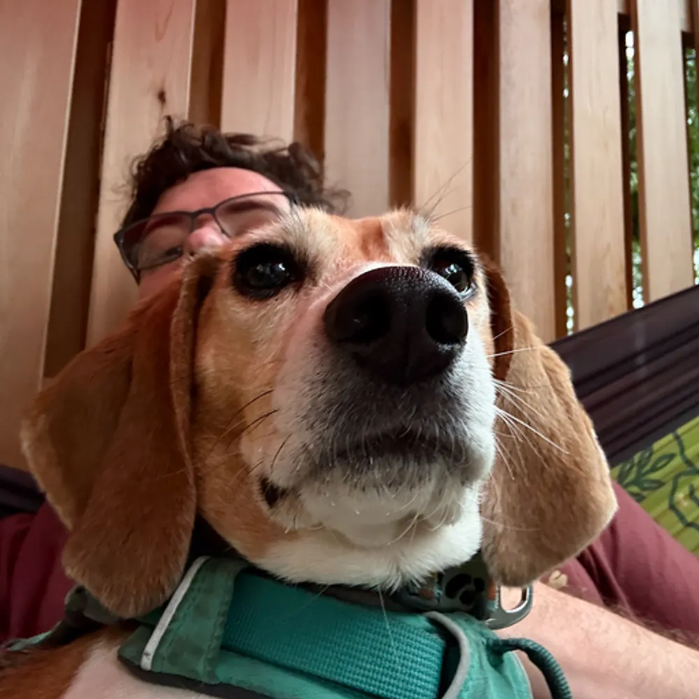 gelliottmorris.com's profile picture