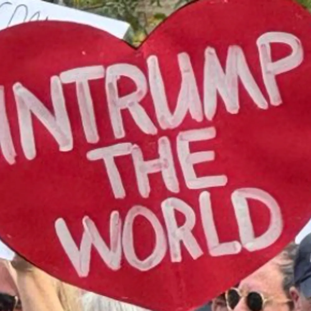 pfiore8.bsky.social's profile picture