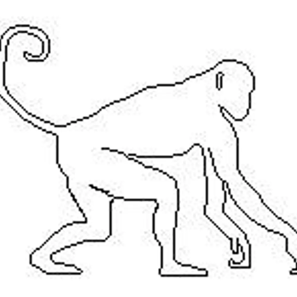 honestmonkey.bsky.social's profile picture