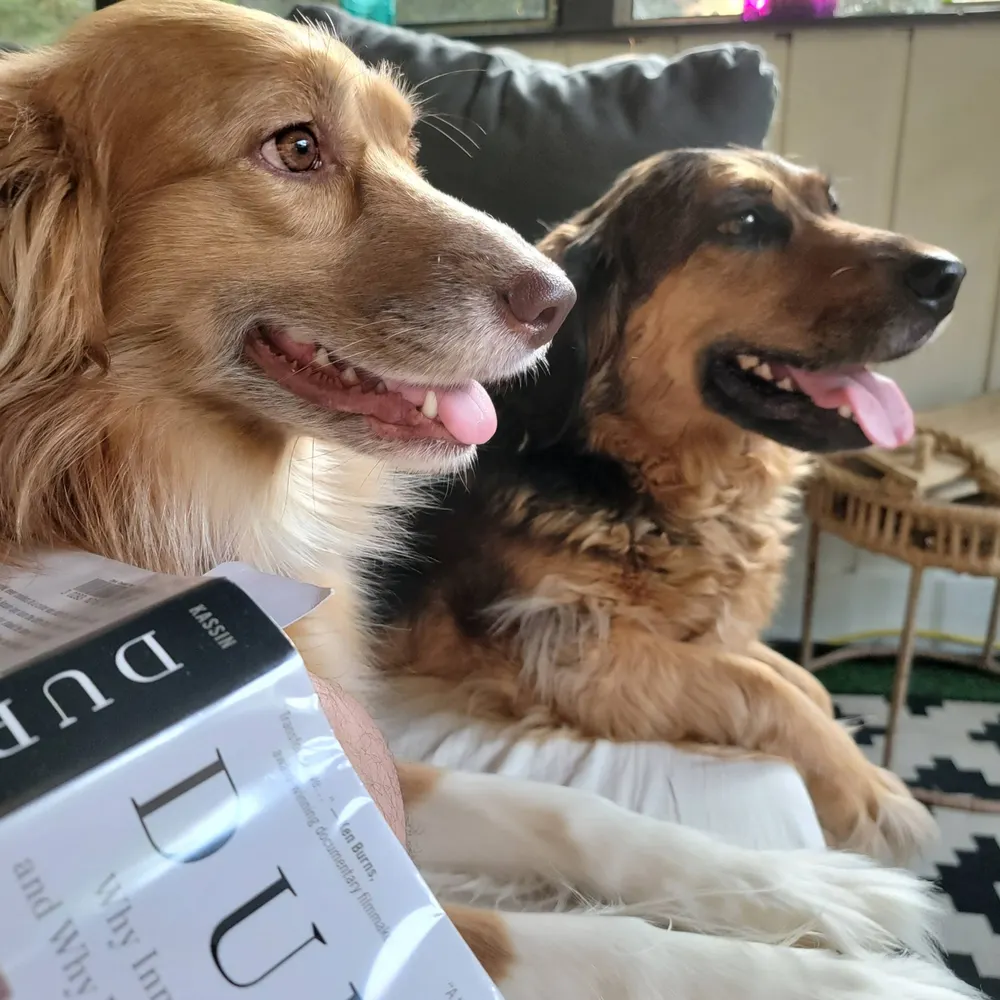 jgurn.bsky.social's profile picture