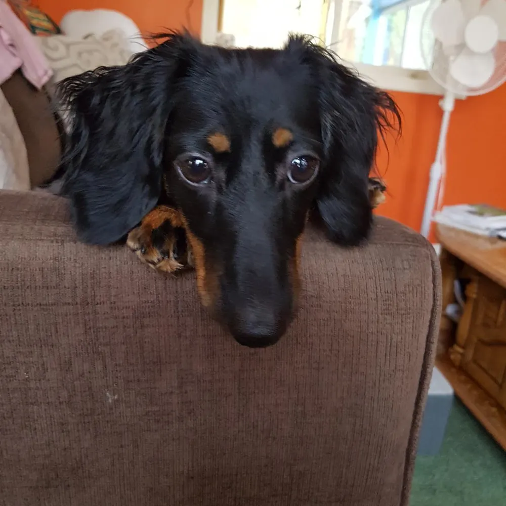 thatkamloopsguy.bsky.social's profile picture